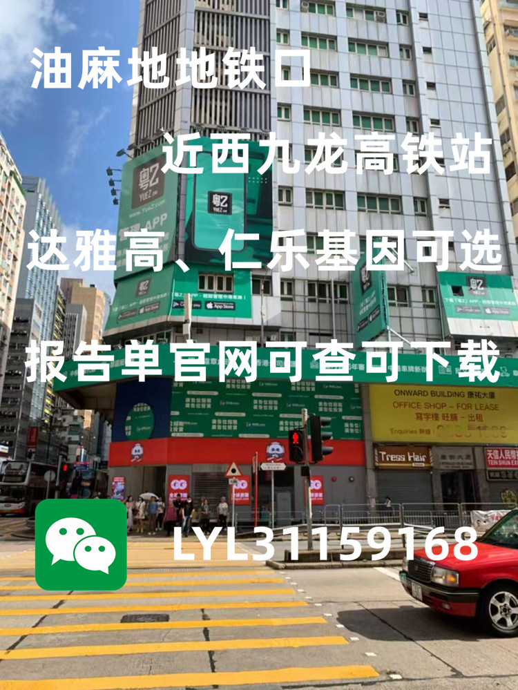 香港查血中介會亂出報告嗎？